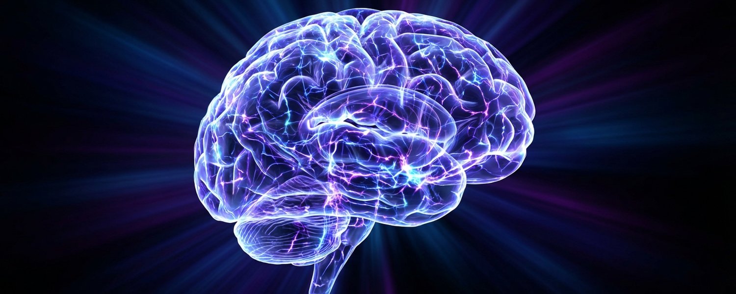 Cerveau humain avec neurones connectés - Neurogenèse lion's mane | Le Meilleur Complément