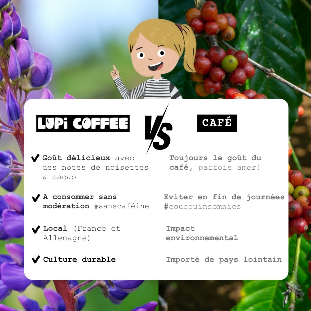 Comparaison entre Lupi Coffee et café classique