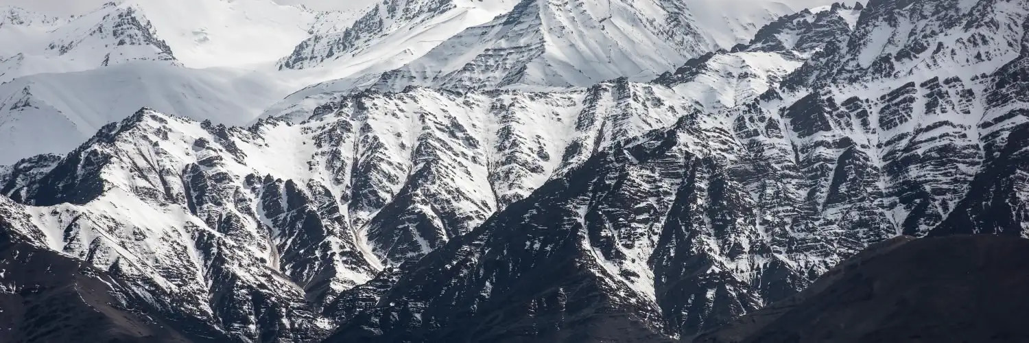 Shilajit résine ou gélules : que choisir ?