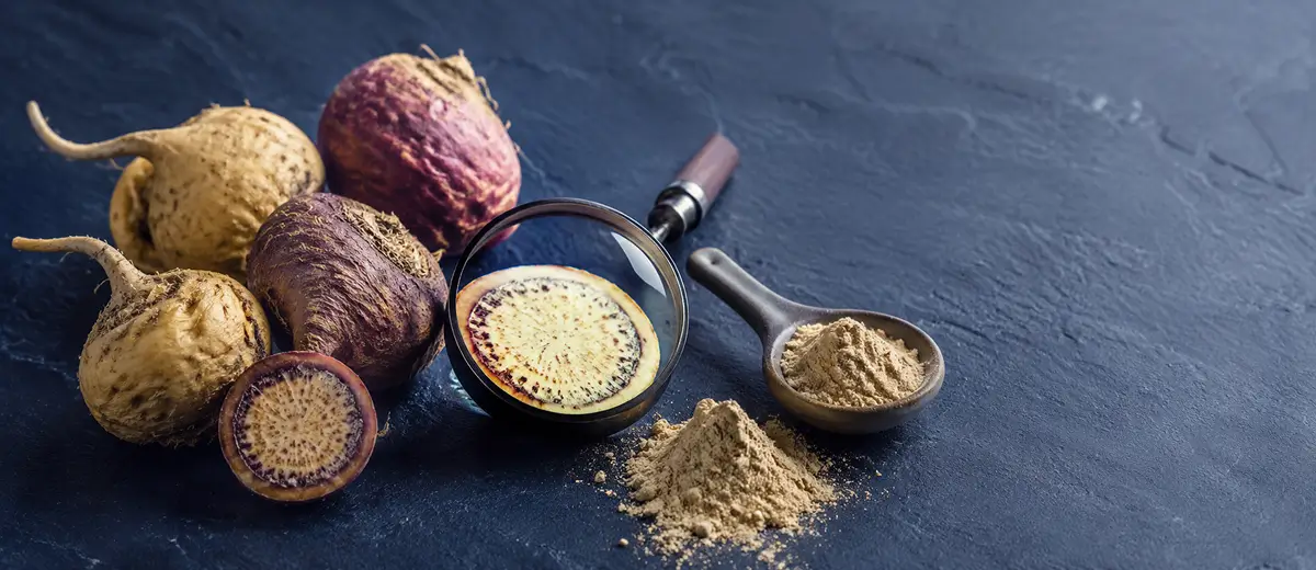 Comment agit le Maca ? Mécanisme, bienfaits et effets sur le corps