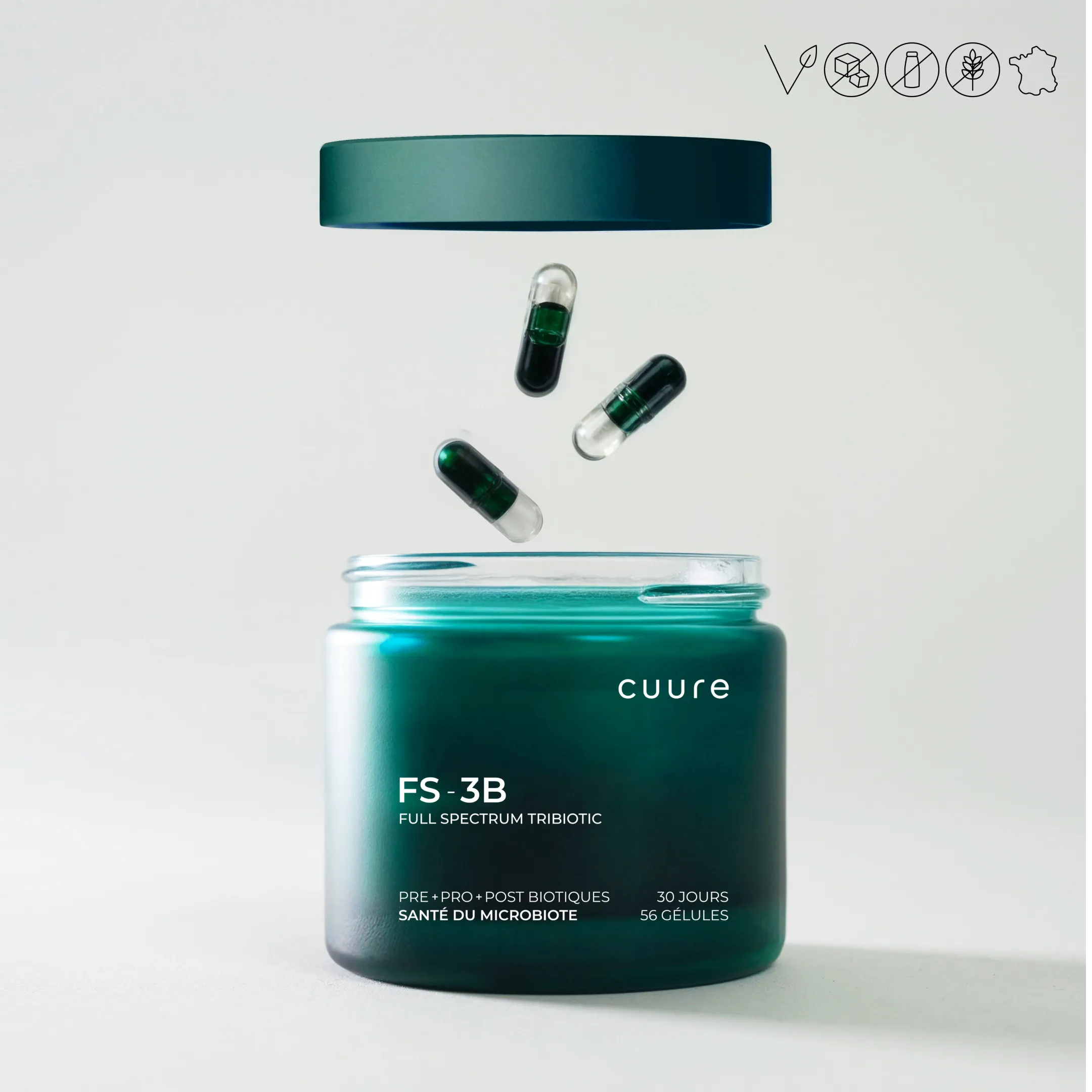FS-3B - Cuure