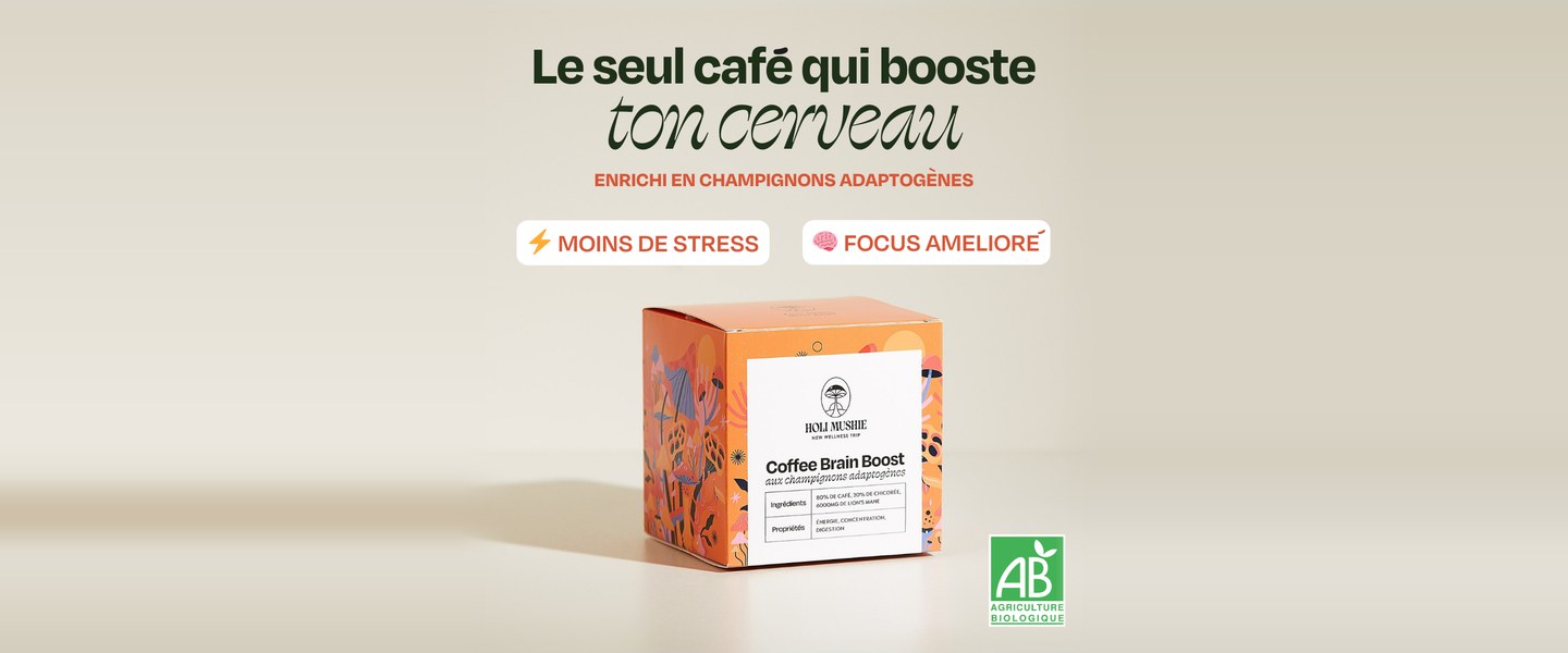 Avis Holi Mushie : Café FOCUS Lion's Mane en capsules