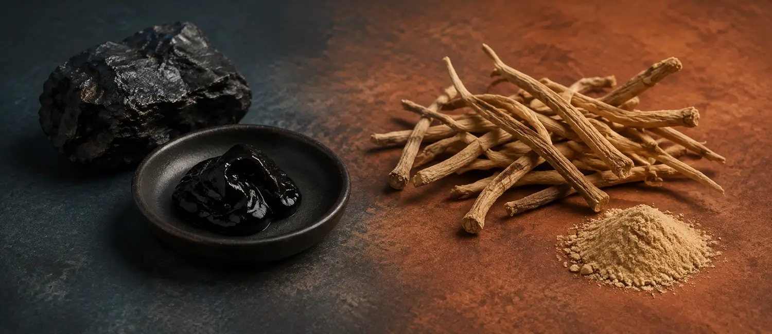 Shilajit ou ashwagandha : faut-il choisir ou les associer ?