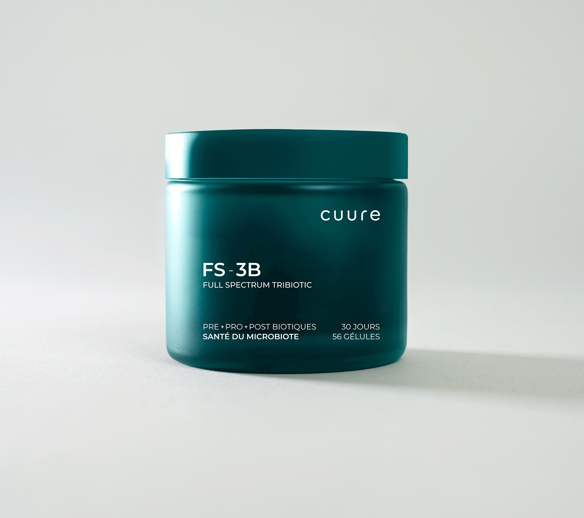FS-3B - Cuure