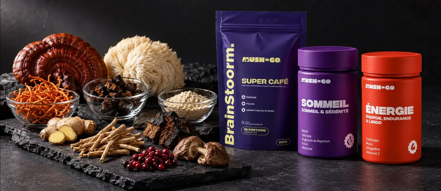 Cosa contengono davvero gli integratori di funghi: le 7 formule Mush N Go