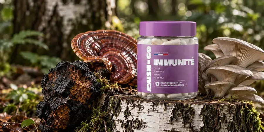 Barattolo Mush N Go Immunità nel sottobosco, circondato da chaga, reishi e pleurotus.