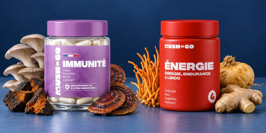 Immunité et Énergie de Mush N Go avec du chaga, du reishi, des pleurotes, du cordyceps, de la maca et du gingembre