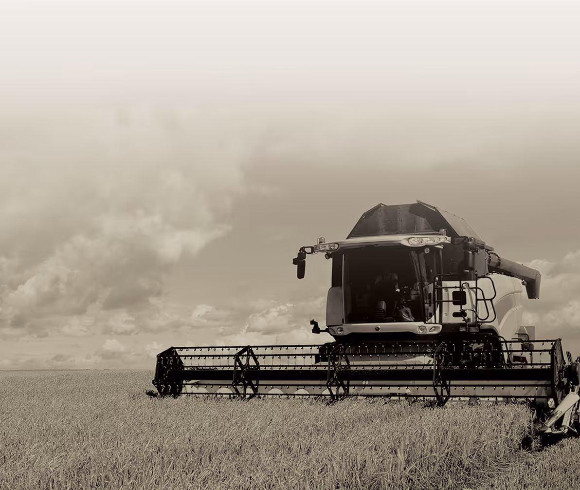 Crafting excellence in malt for generations