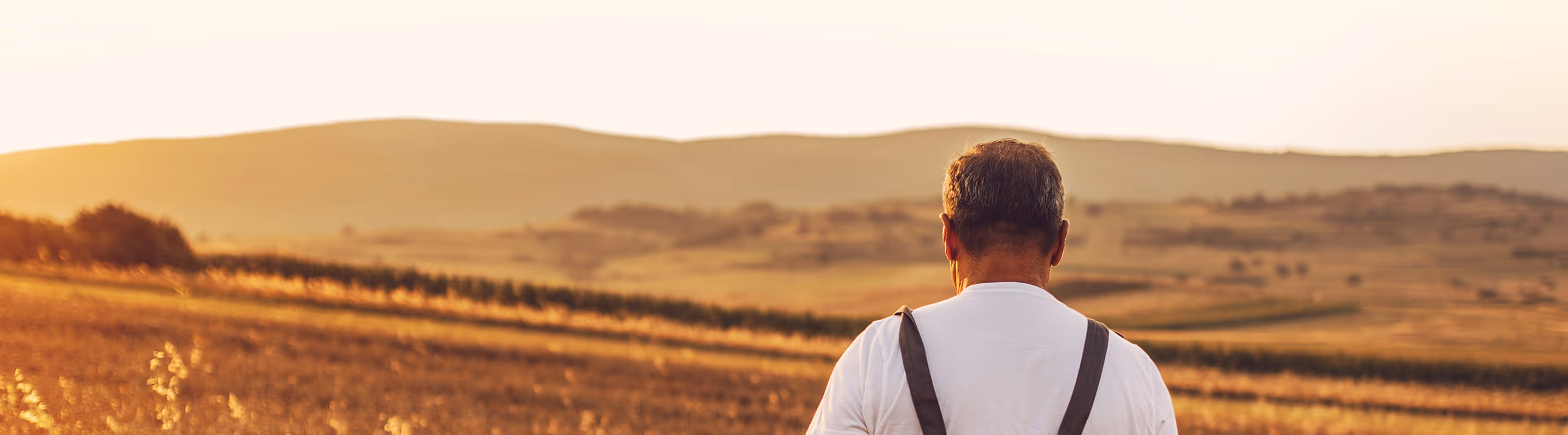 Farmer standing in a field at sunset, looking towards distant hills.