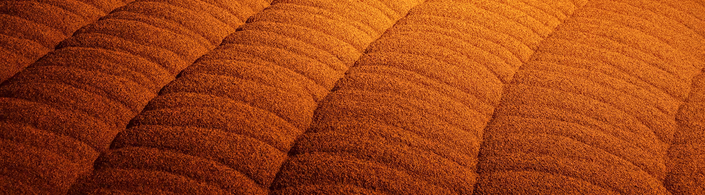 Close-up of Specialty Malts Process