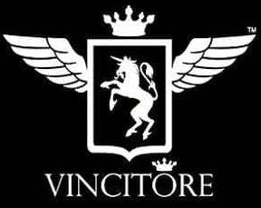 VINCITORE Developer logo