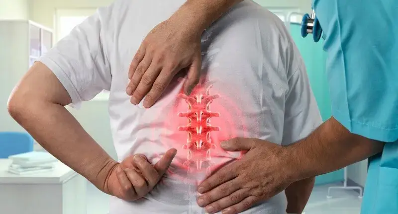 Illustration of brachial plexus nerves traveling from the neck through the shoulder into the arm