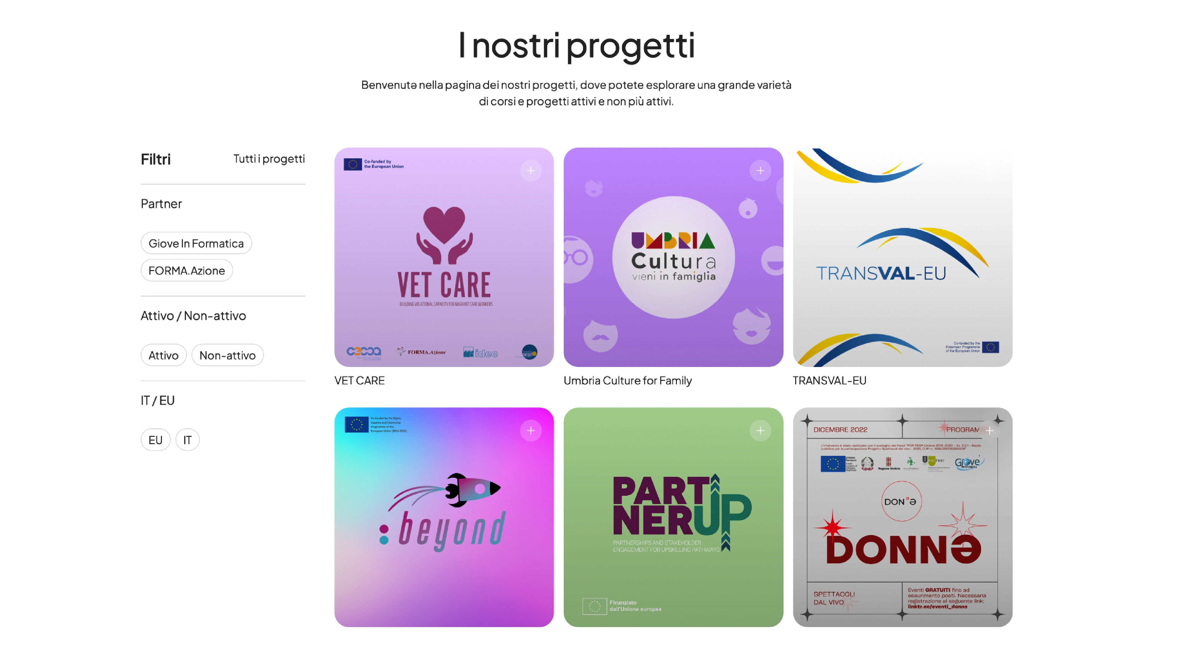 pagina progetti portfolio web design UI grid layout sistema navigazione filtri custom