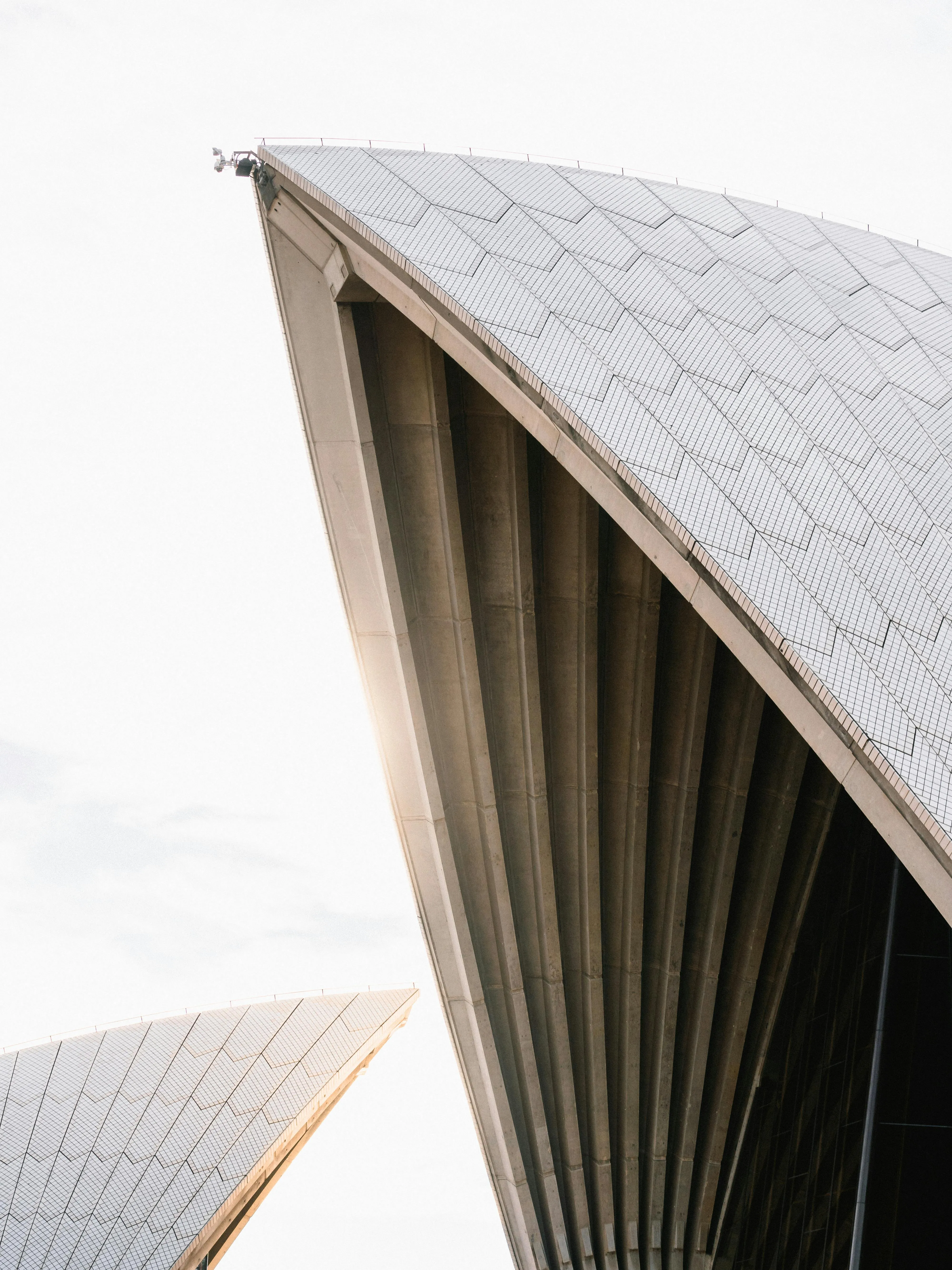 Close-up view of the Sydney Opera House shells with detailed white tiled roofs and concrete ribs.