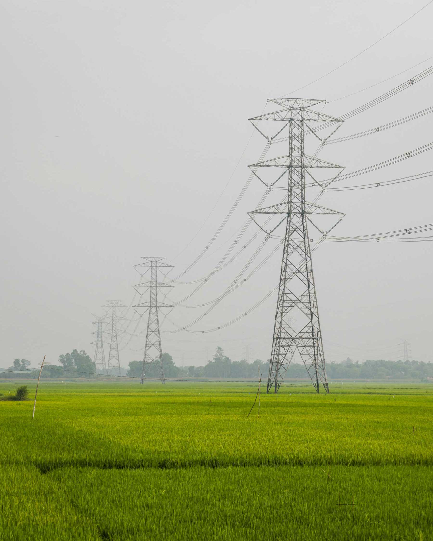 Tall electrical transmission towers stretching across a green field under a gray sky.
