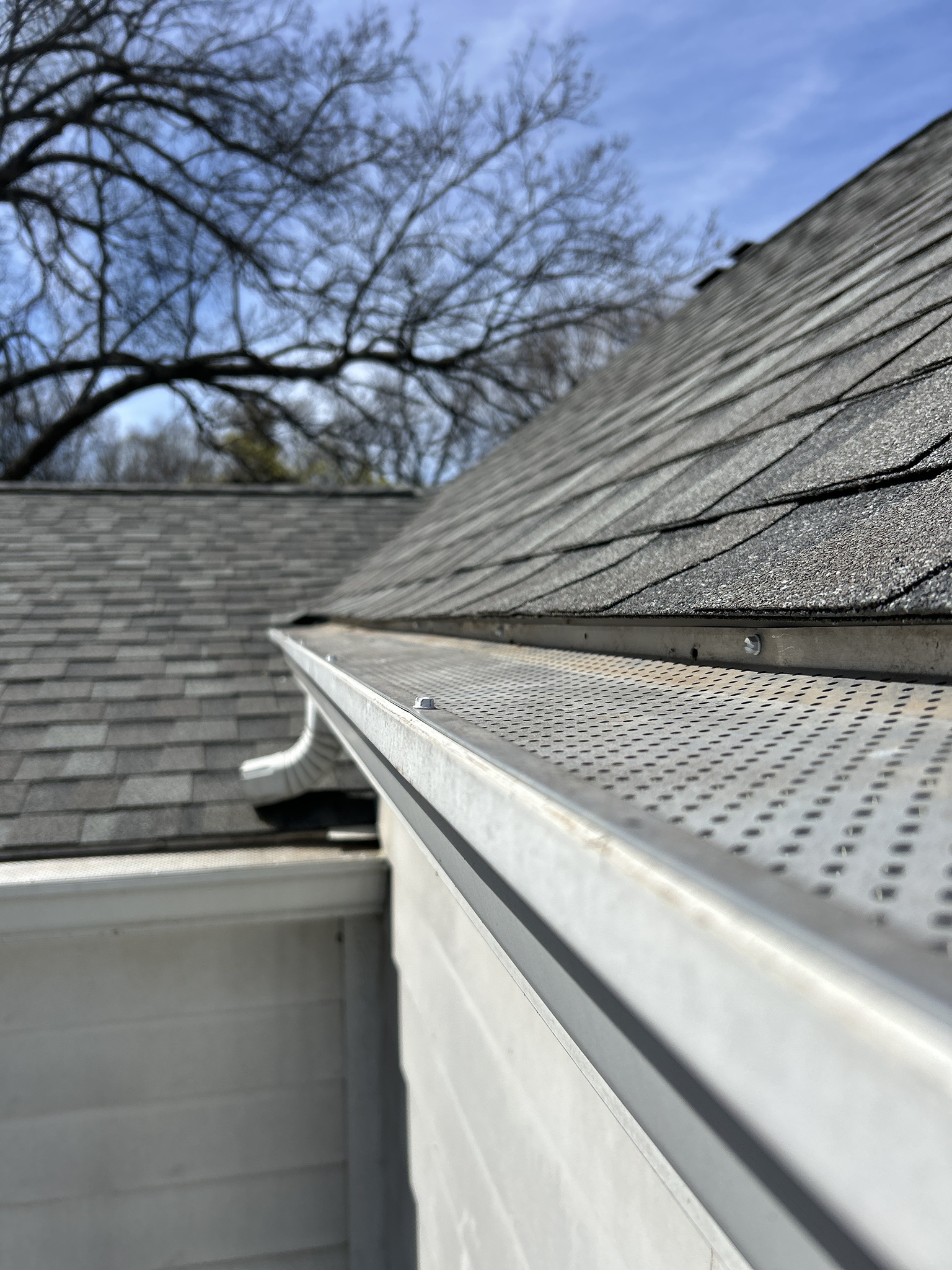 Gutter with a gutter guard installed along an asphalt shingle roof