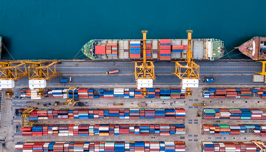 Leveraging Digitalization to Ease Supply Chain and Labor Shortage Challenges