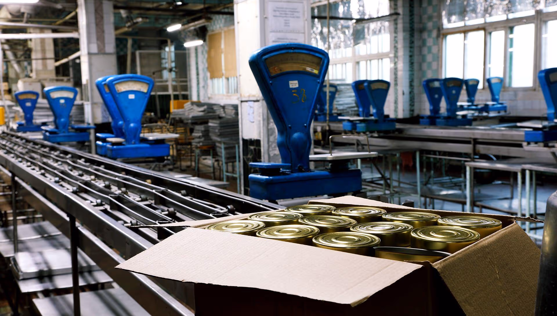 Fishing For Real-Time Management