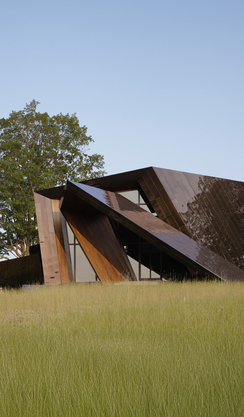 CNR Group luxury home construction: Modern contemporary house with angular dark brown panels and large glass windows surrounded by tall grass and a tree.