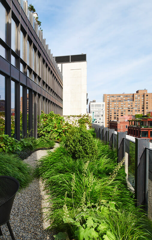 CNR Group luxury home construction: Urban rooftop garden with lush green plants, a gravel pathway, and city buildings in the background.