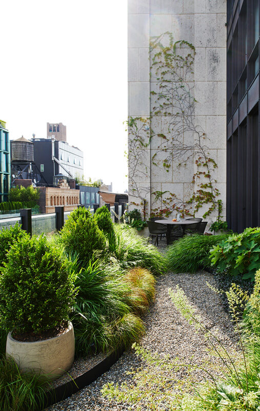 CNR Group luxury home construction: Urban rooftop garden with lush green plants and a small round table with chairs against a building wall covered in climbing vines.