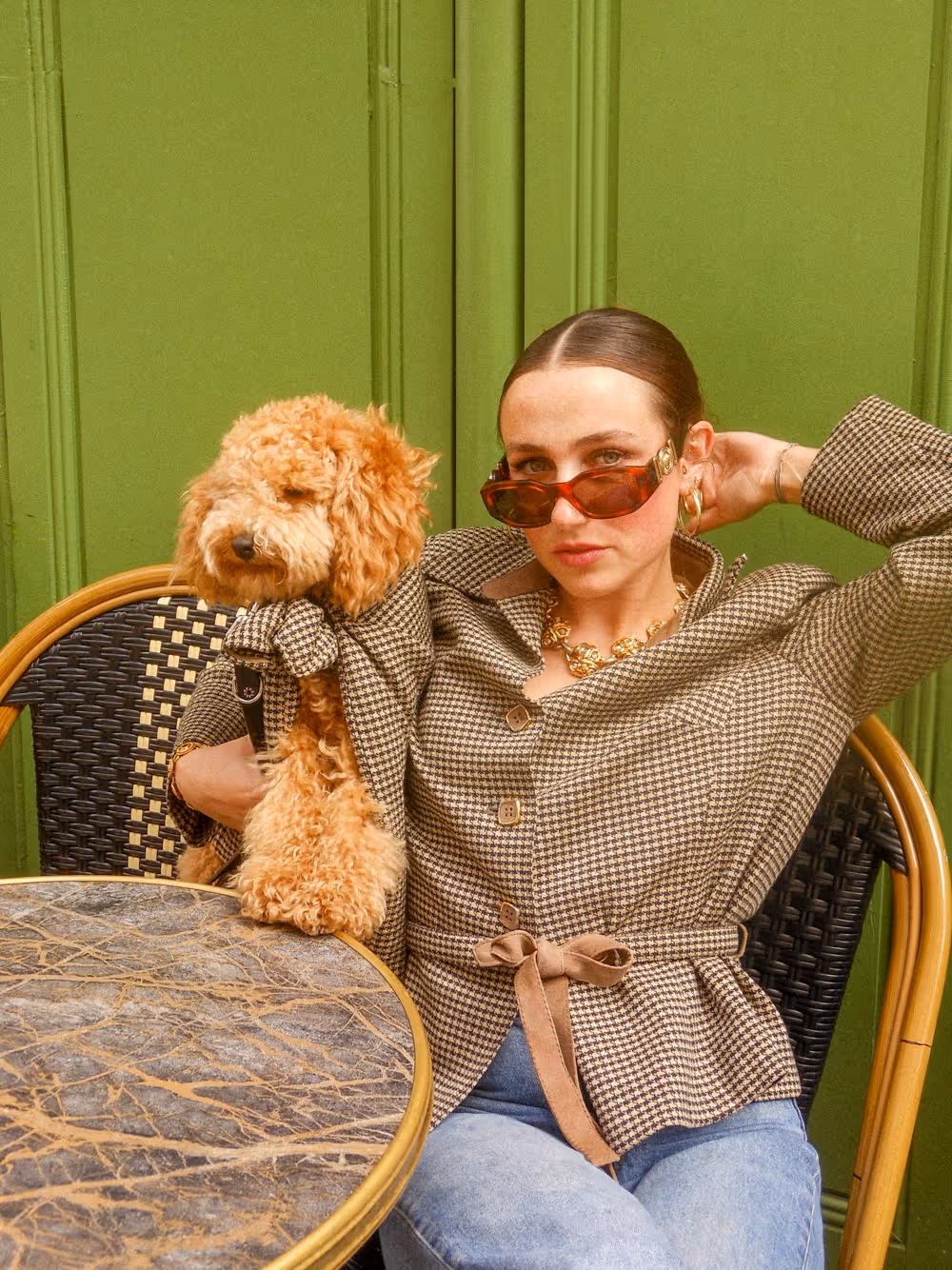 Visuel de campagne montrant une femme en veste à carreaux et lunettes de soleil, assise sur une chaise, avec un chien bouclé portant une tenue assortie à ses côtés, le tout devant un mur vert. — Campagne de lancement de la marque de vêtements pour chiens Chienne. — Design graphique par le studio Pryzma.
