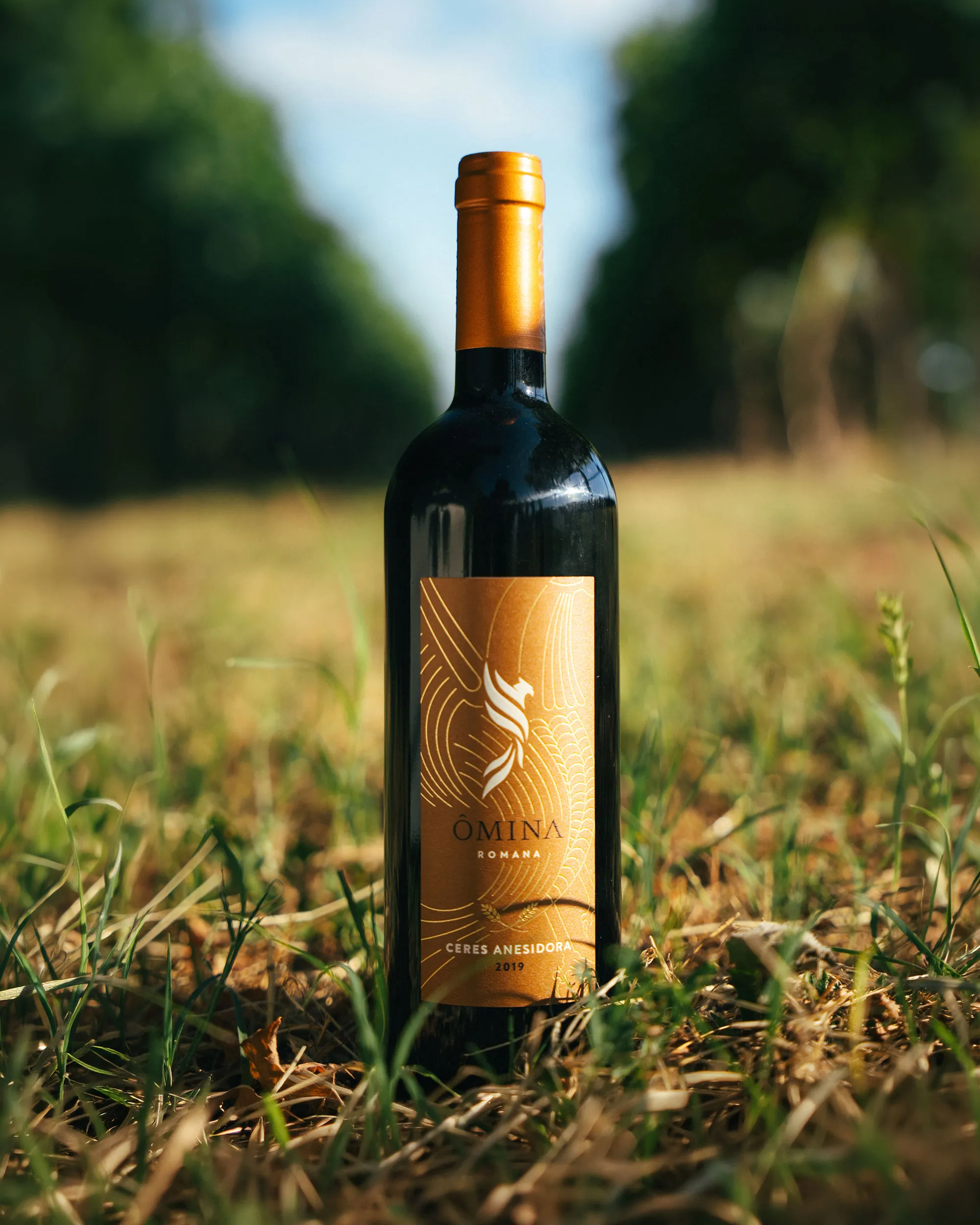 Flasche Ceres Anesidora 2019 von ÔMINA ROMANA in einem sonnigen Weinberg bei Velletri südlich von Rom.