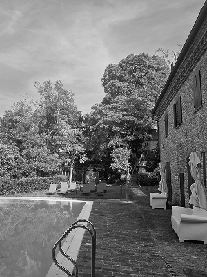 Swimming Poll detail of Palazzo Viviani