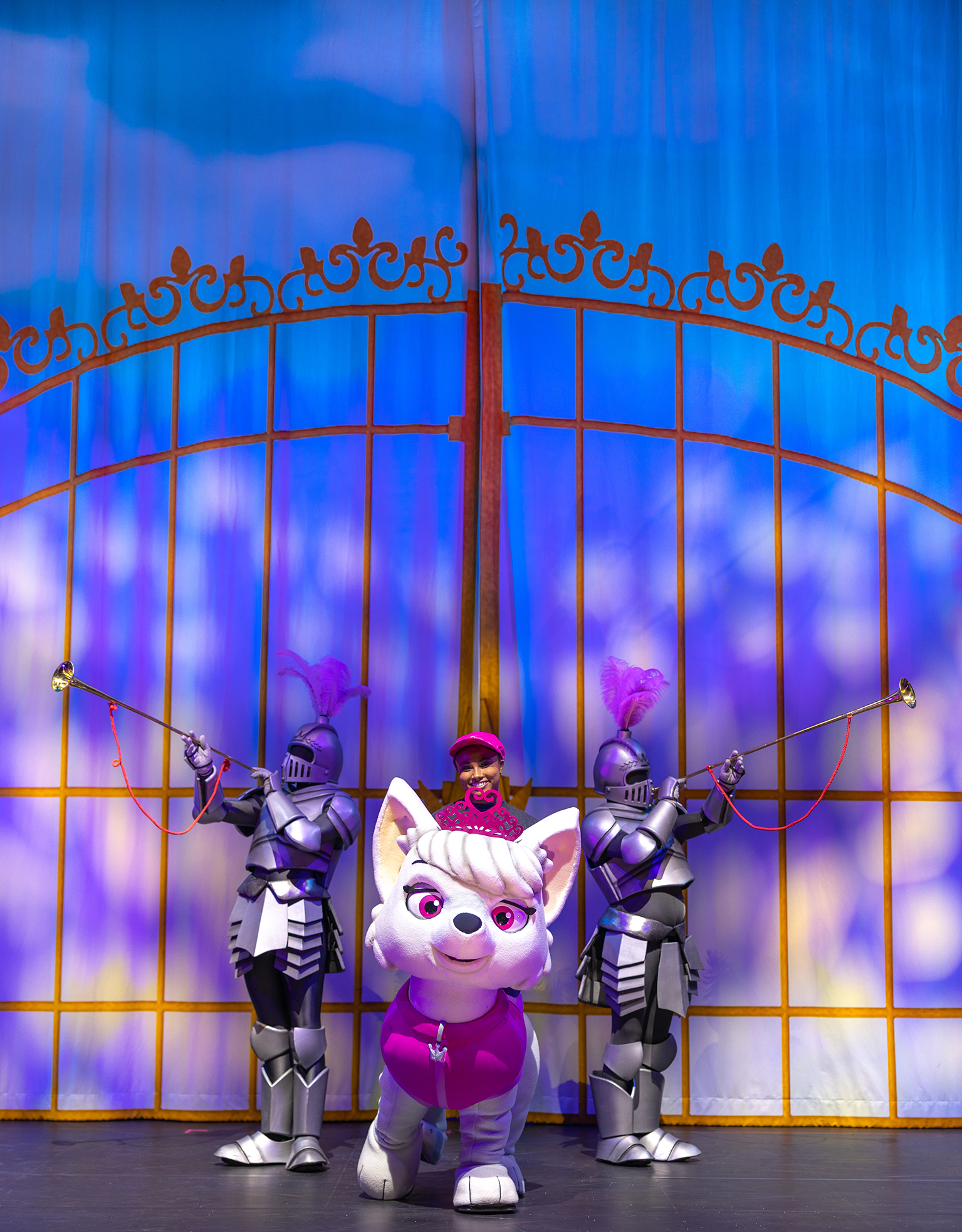 PAW PATROL™ LIVE!  – „HELDEN IM EINSATZ“ Showfoto