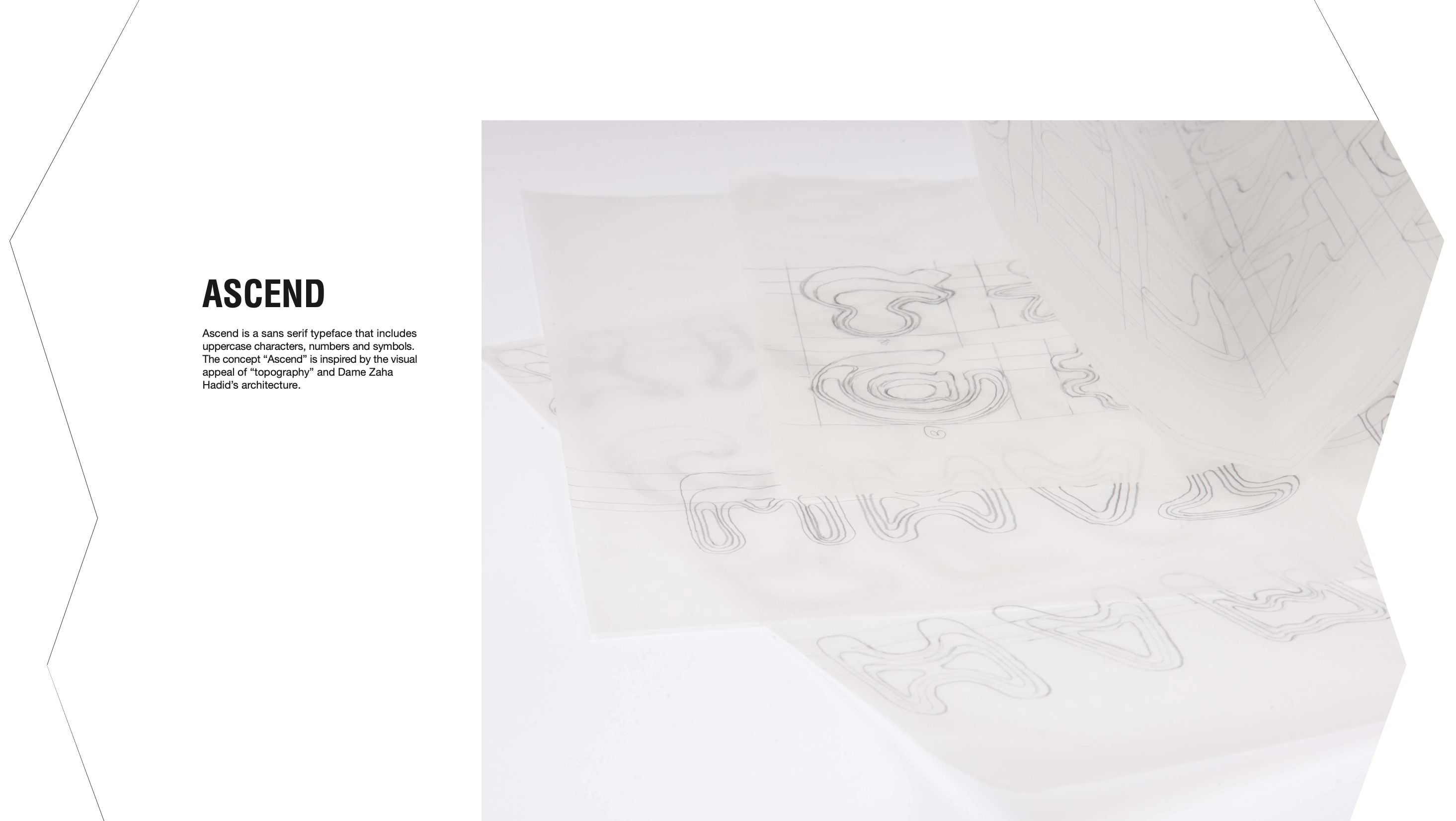 Ascend type specimen overview