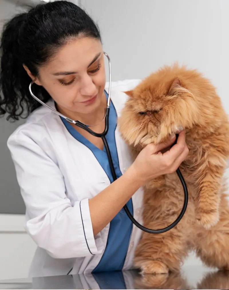 Veterinary Pharmacy