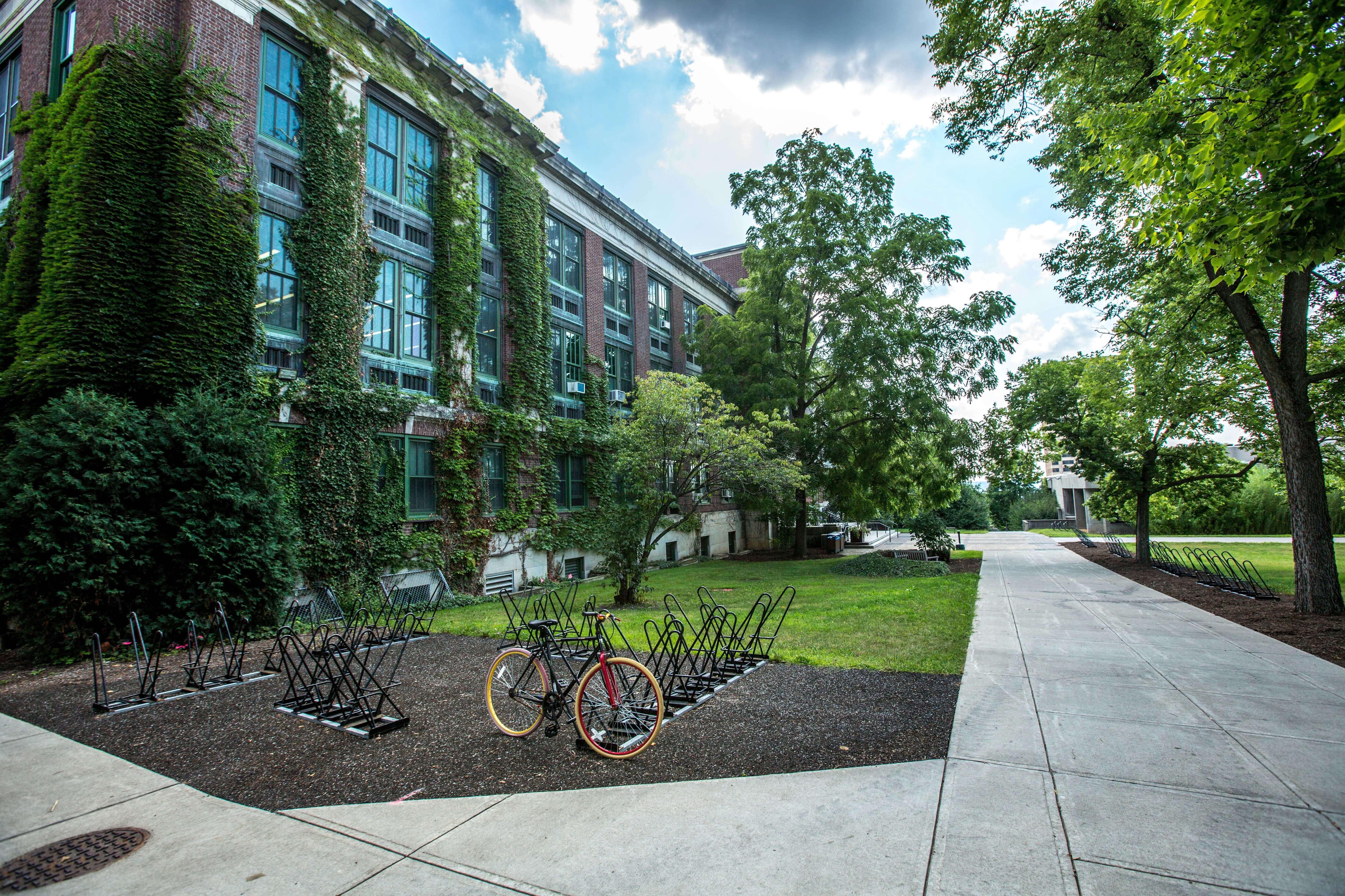 single bike parked in front of ivy-covered campus building