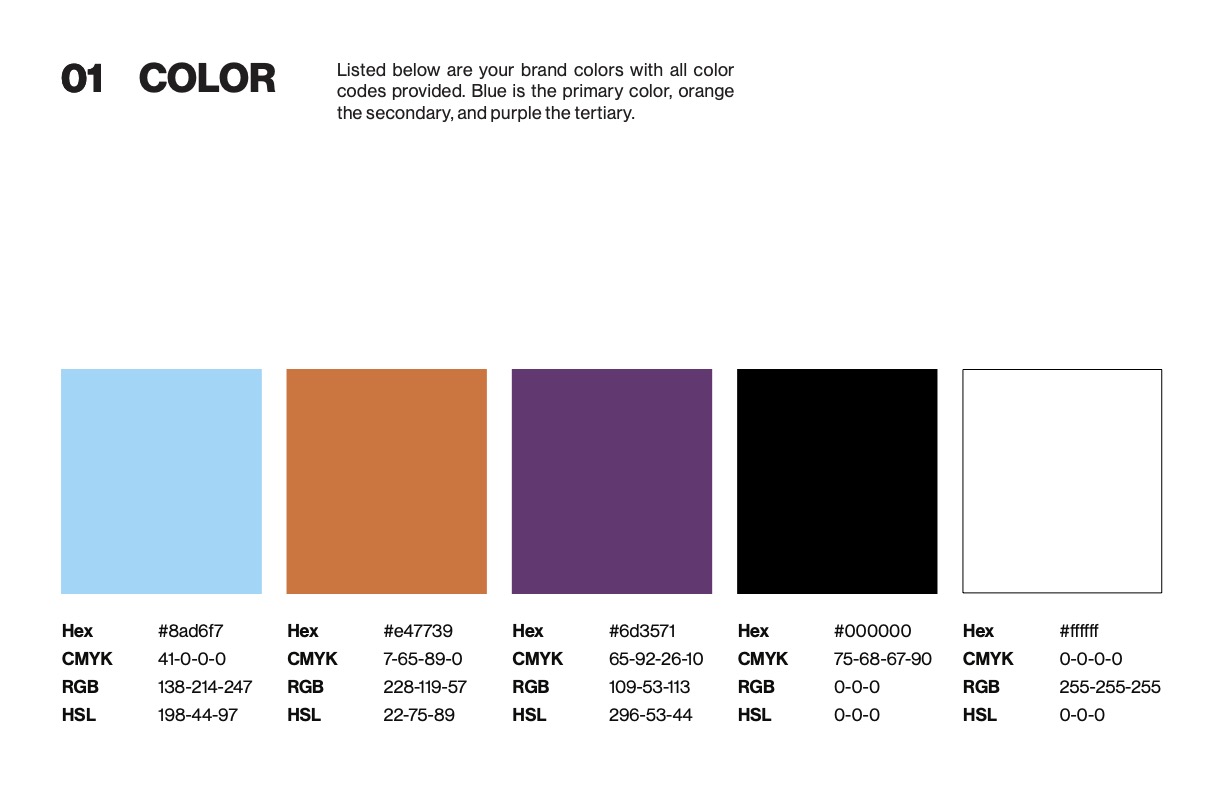 screengrab of color guidelines