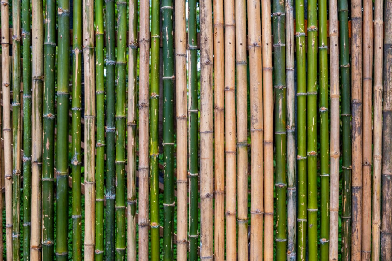bamboo material