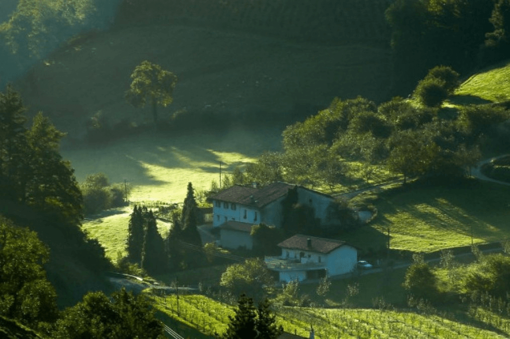 Spanish Rural Renaissance