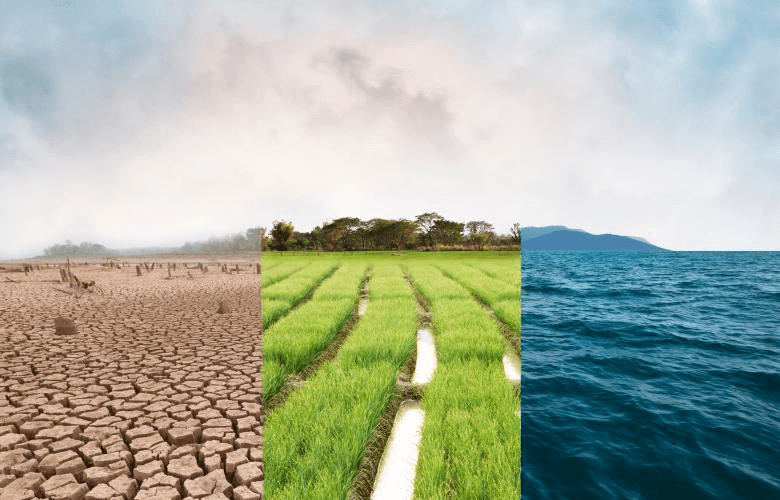 Climate Change and Real Estate: Finding Safe Havens in 2025