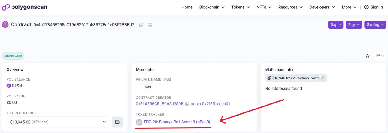 click on the token hyperlink under the "Token Tracker"