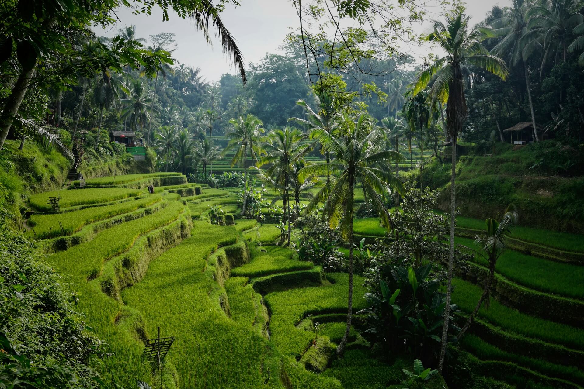 Bali, Indonesia: Island Paradise Open for Foreign Capital