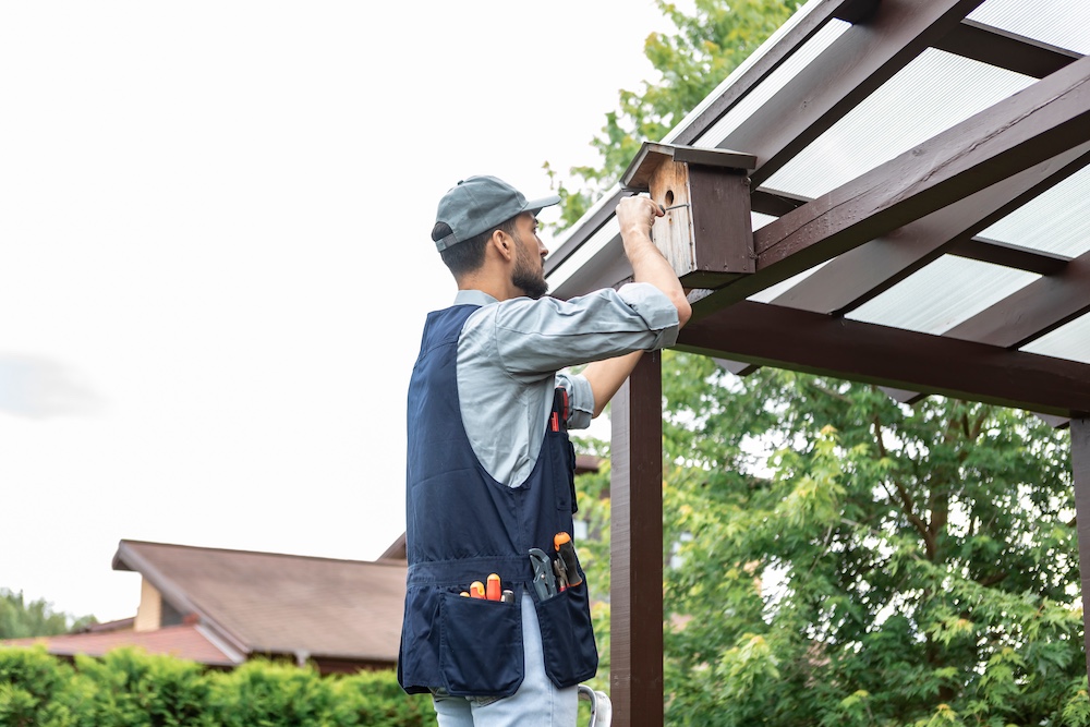 Handyman installing a wooden birdhouse on backyard pergola with tool belt and cap on