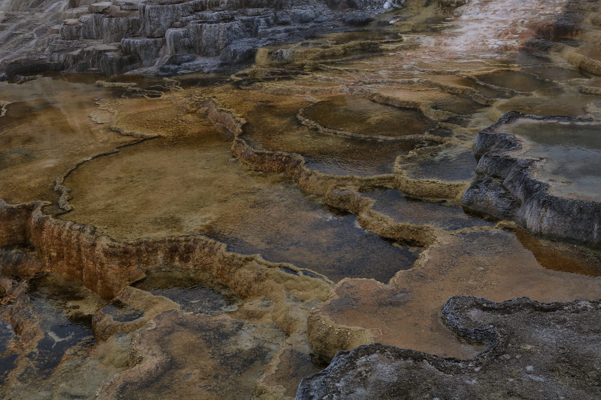 automated monitoring system in urban rooftop garden