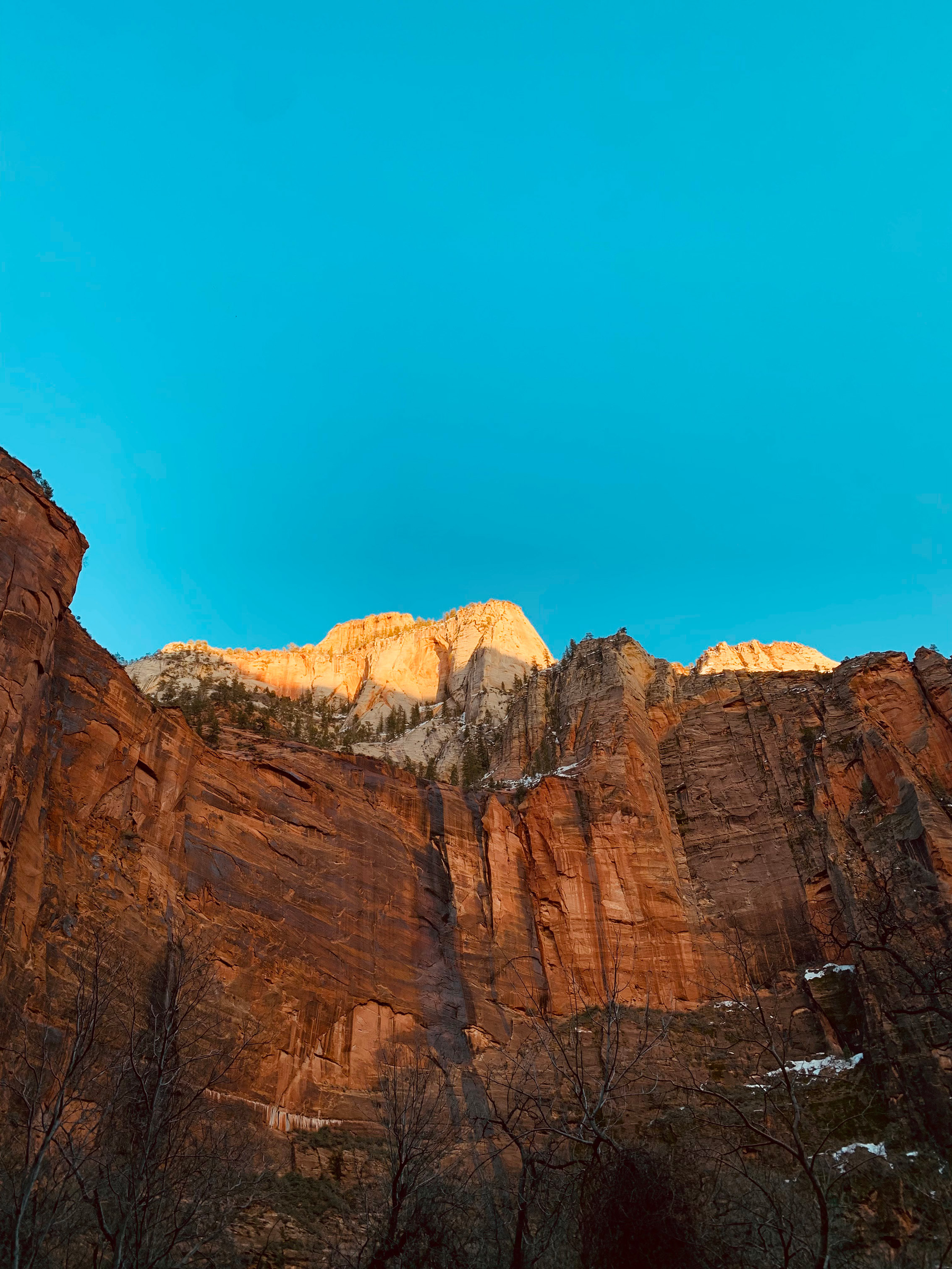 automated monitoring system in urban rooftop garden