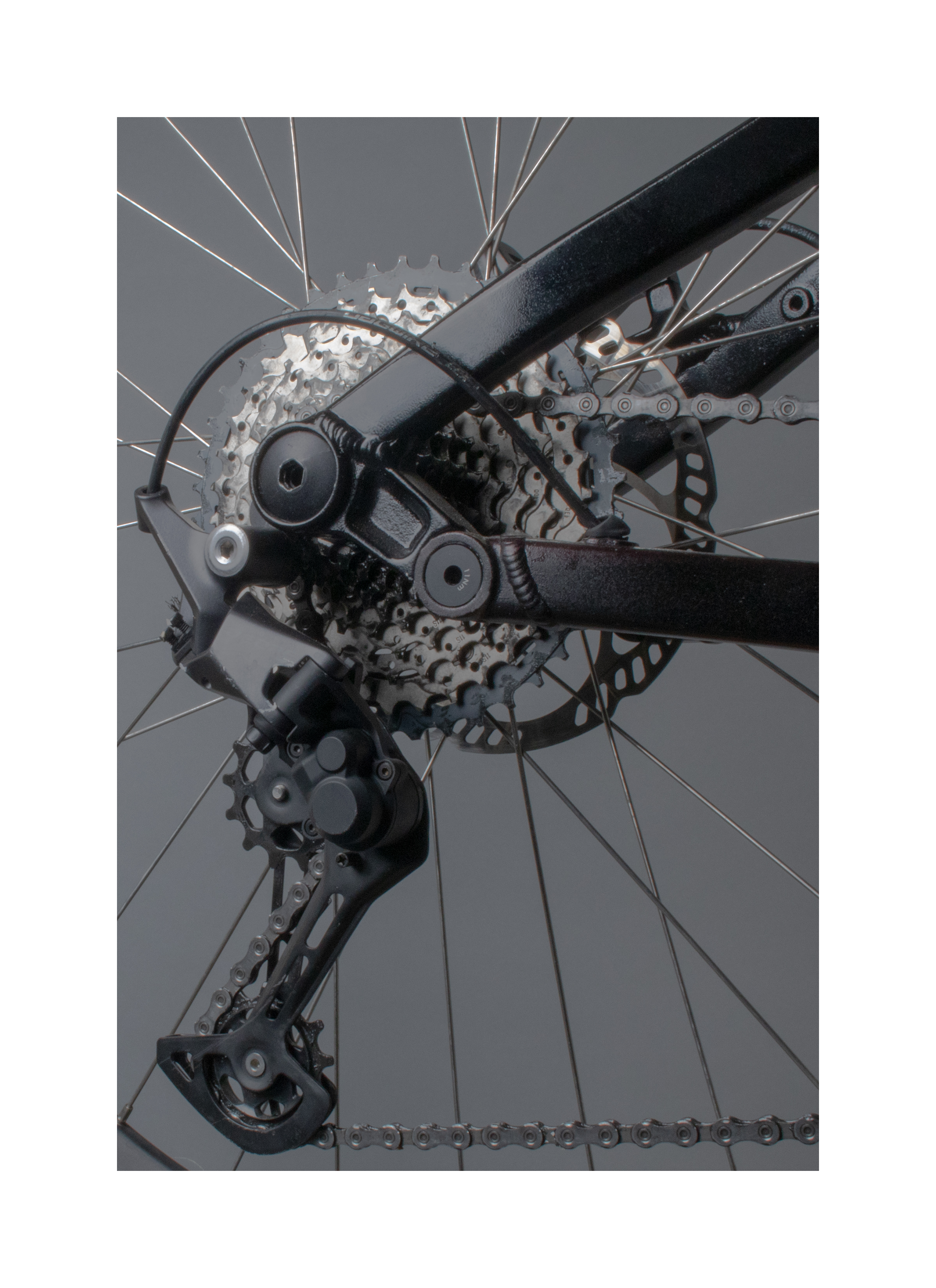 automated monitoring system in urban rooftop garden