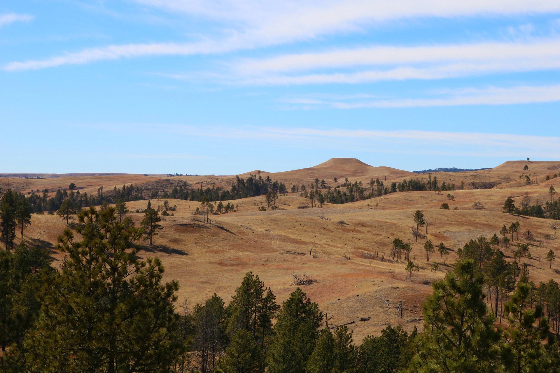 [background image] captivating photo of a serene outdoor playground (for a preschools & daycare).