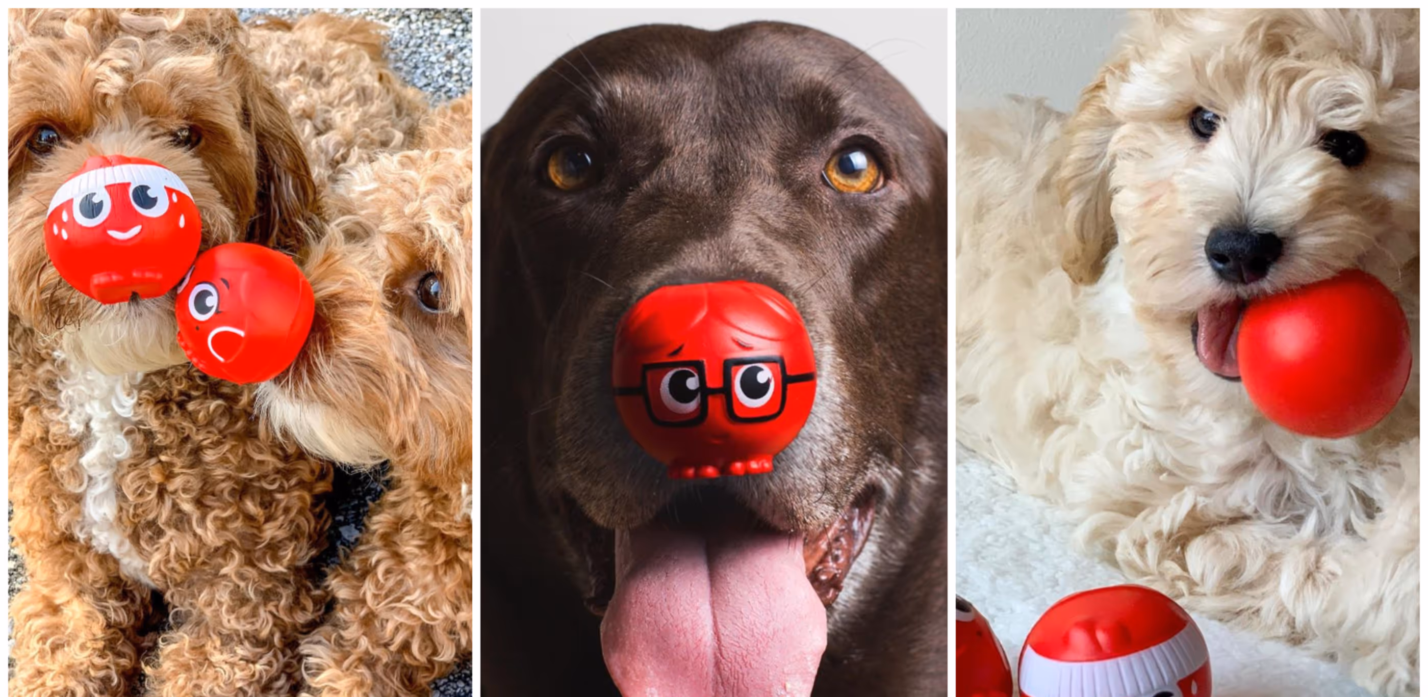 Good Dogs Wearing Noses for a Good Cause