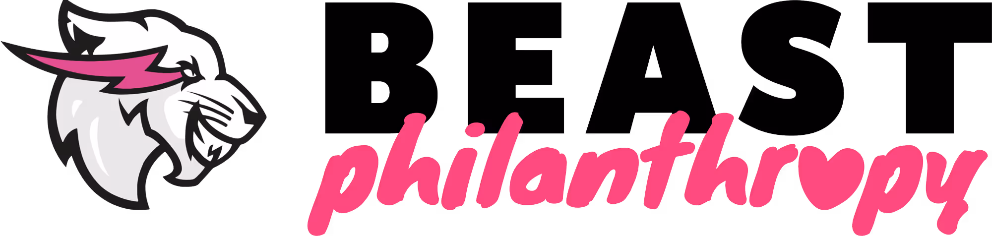 Beast Philanthropy
