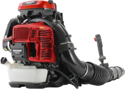 professional leaf blower, the expensive ones.