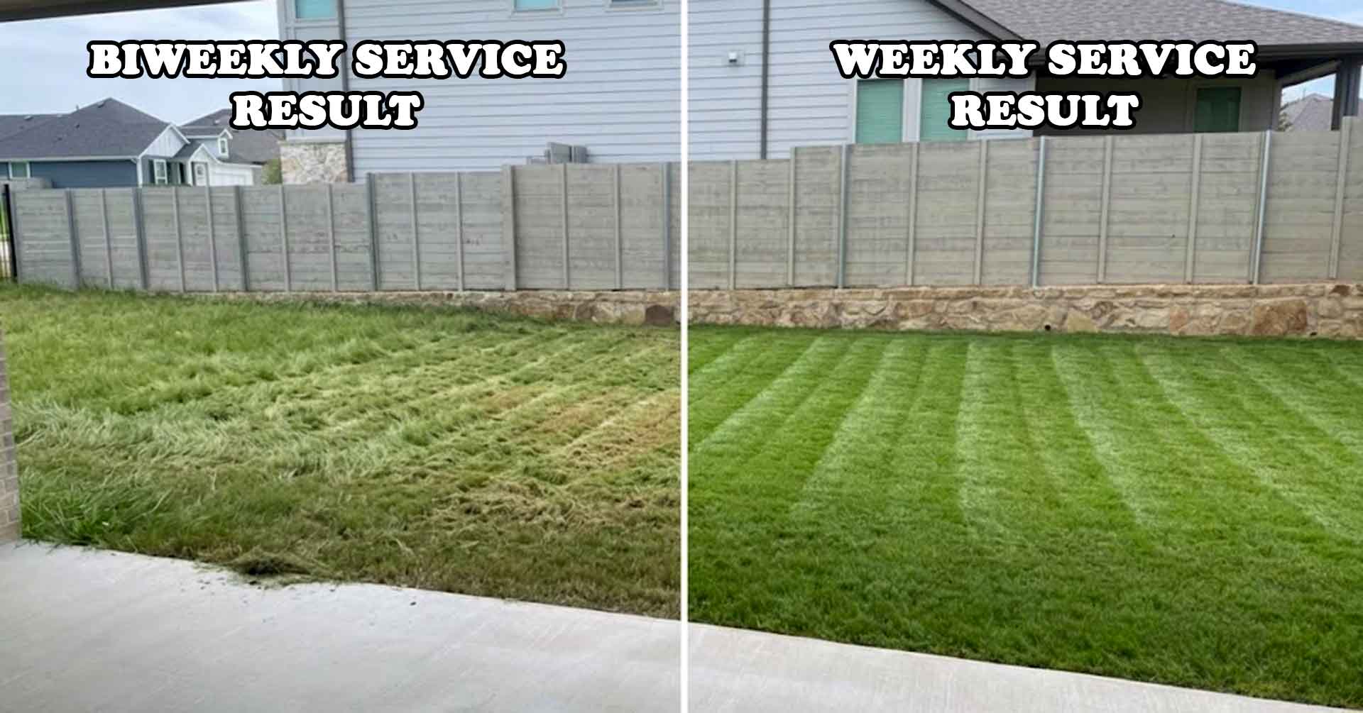 Comparison of weekly and biweekly lawn mowing quality
