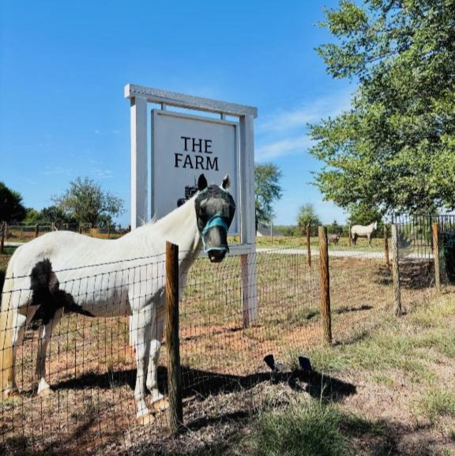 A recognizable Aubrey, Texas landmark