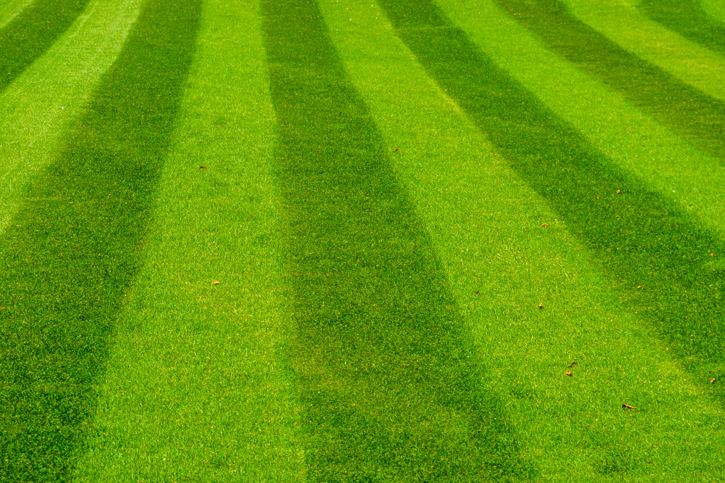 The 5 Best Lawn Mowing Patterns for a Healthier Yard