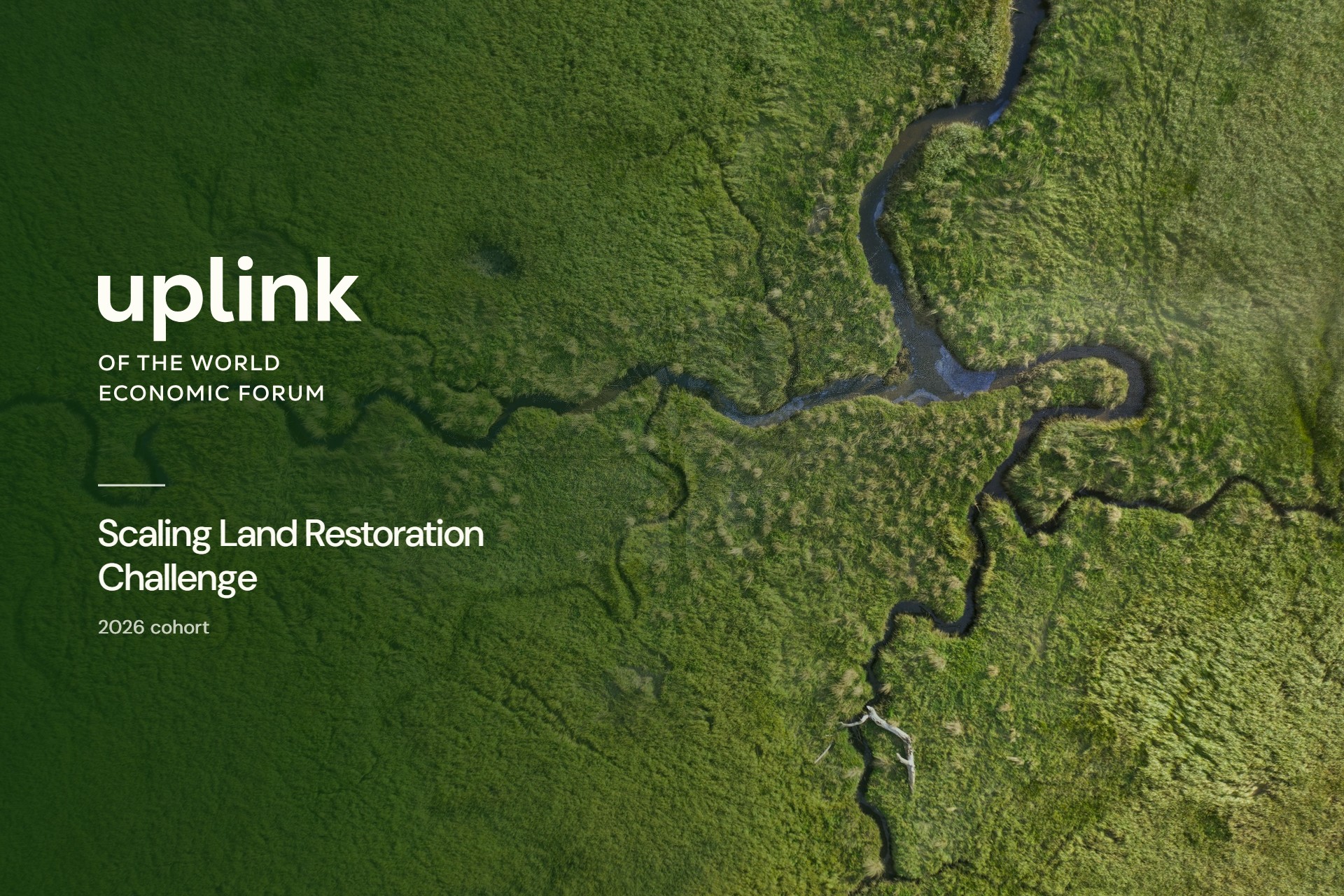 UpLink of the World Economic Forum: Scaling Land Restoration Challenge, 2026 cohort. Set over an aerial view looking straight down on a coastal saltmarsh, with dark tidal creeks branching through green vegetation.